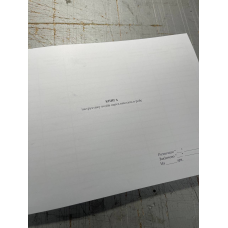 Книга інструктажу водіїв перед виходом в рейс, Наказ 288