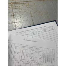 Книга зовнішнього пілота (оператора) безпілотних авіаційних комплексів, Наказ 661, додаток 4 Прошнурована тверда