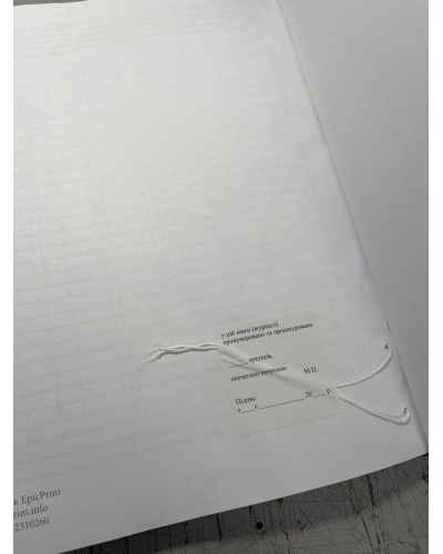 Книга огляду (перевірки) озброєння техніки та боєприпасів, Закон України 548, додаток 11 Прошнурована тверда